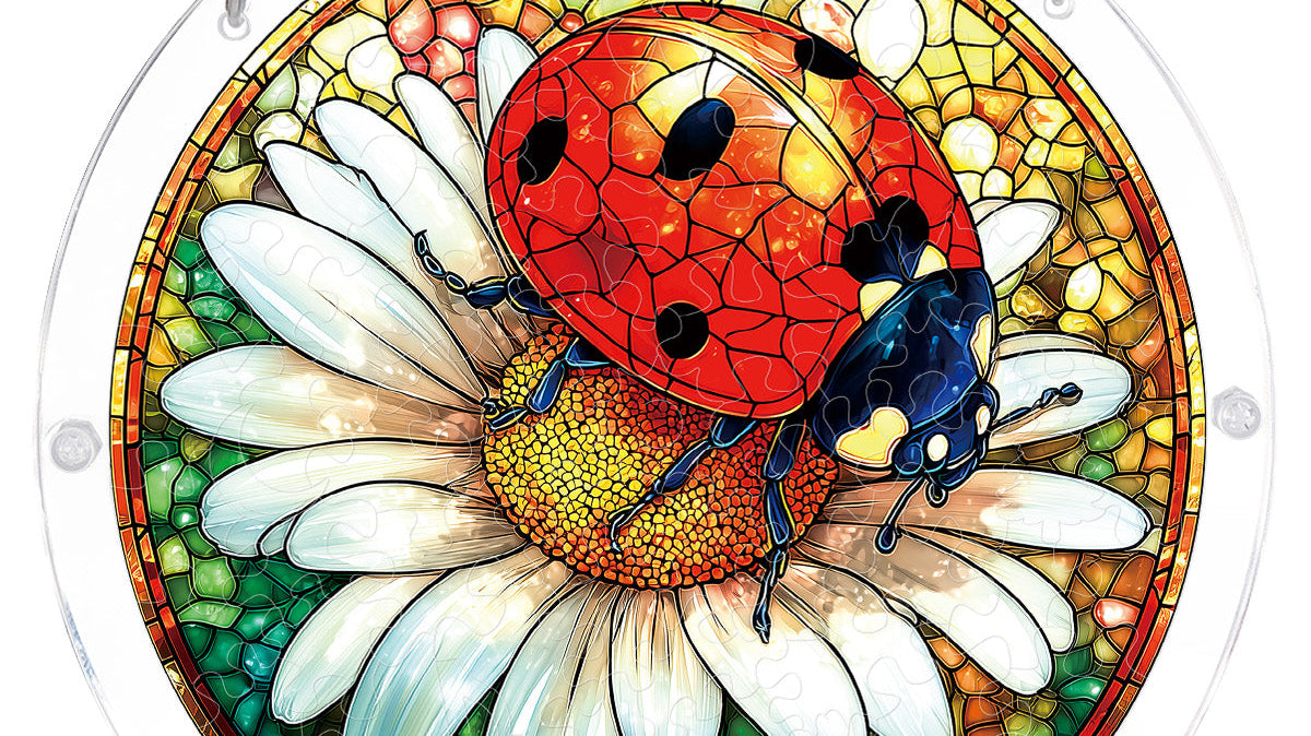 Ladybug on Daisy Light Suncatcher-Acrylic Window Art