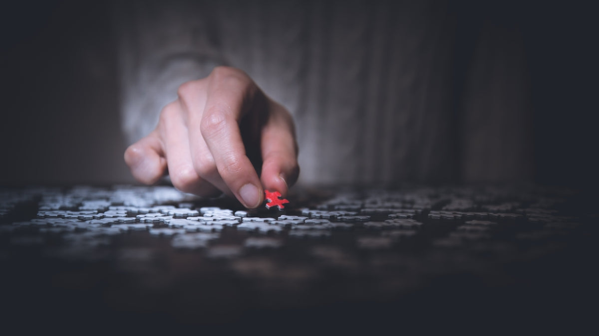 person holding red jigsaw puzzle