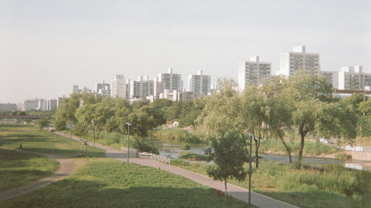 Urban park with winding path and residential buildings.
