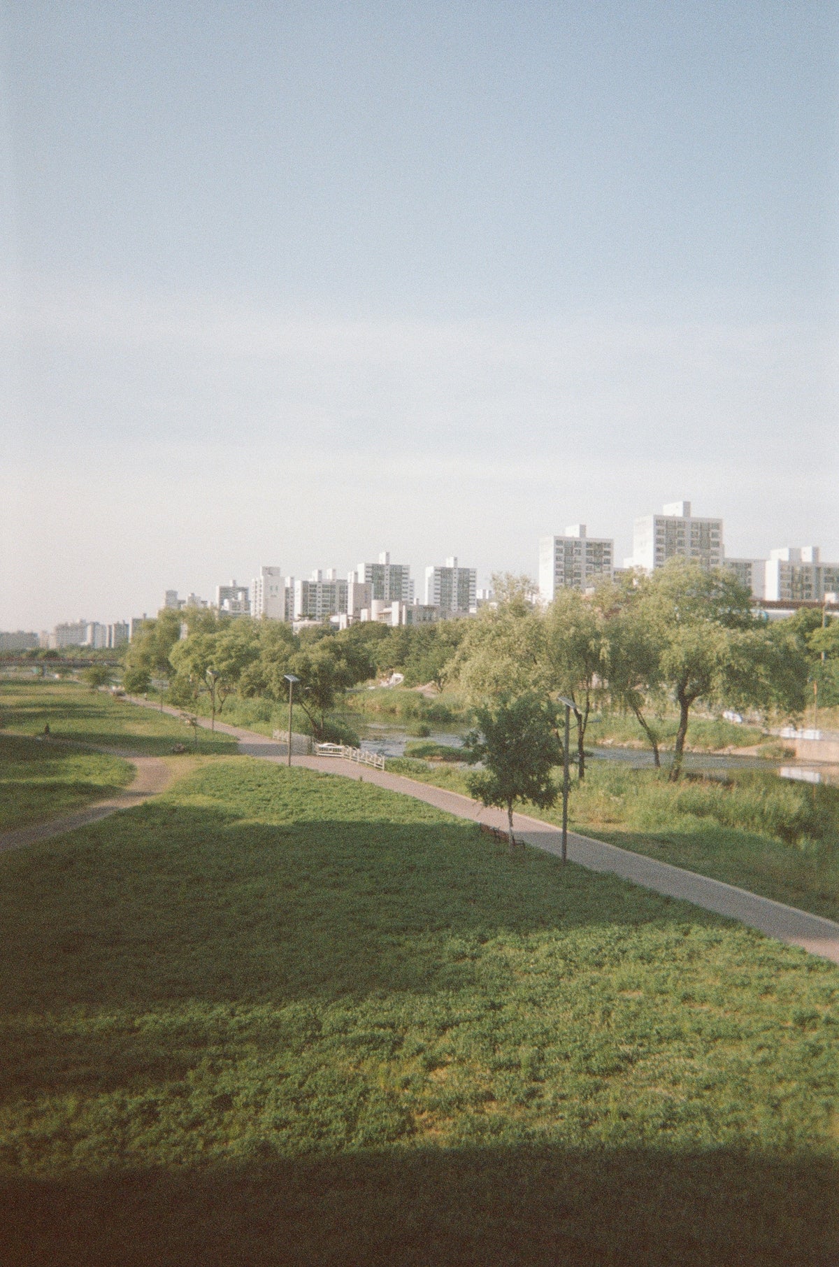 Urban park with winding path and residential buildings.
